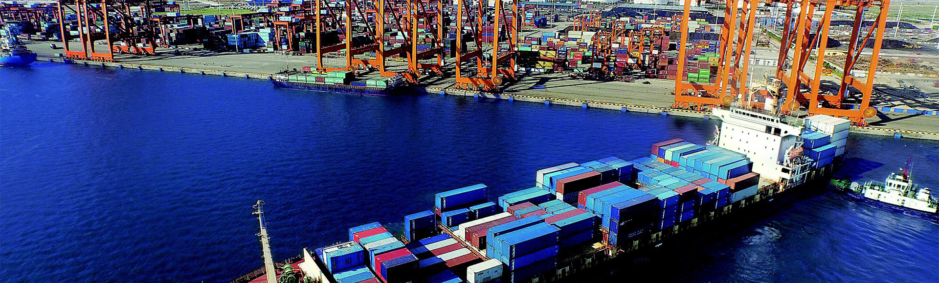 Oasis P I Services Ltd 