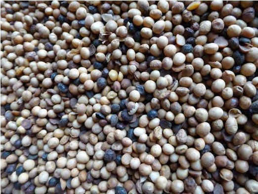 Oasis P I Services Ltd 